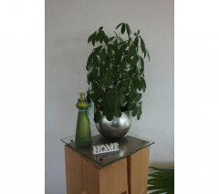 H2-Detail-2